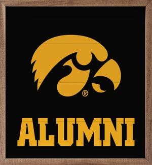Alumni University Of Iowa